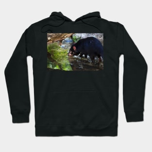 Devil Gone Fishing Hoodie